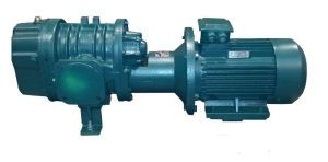 Компрессор низкого давления  2AF49М1-МН-30-1.8-1.5-1.5(2АФ49Э51С) муфтовая воздуходувка Компрессор низкого давления  2AF49М1-МН-30-1.8-1.5-1.5(2АФ49Э51С) муфтовая воздуходувка фото