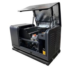 Газовый генератор  GM 10000 Газовый генератор  GM 10000