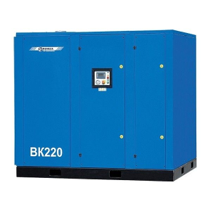 Винтовой компрессор Remeza ВК220-7,5 ВС Винтовой компрессор Remeza ВК220-7,5 ВС фото
