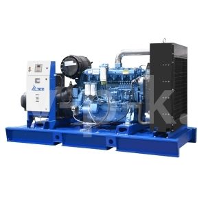 Дизельный генератор ТСС АД-250С-Т400-1РМ9 с АВР 016981 Дизельный генератор ТСС АД-250С-Т400-1РМ9 с АВР 016981 фото