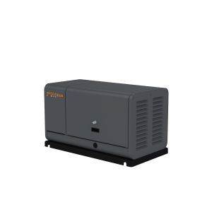 Газовый генератор  GM 7000