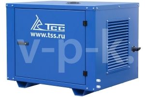 Бензиновый генератор ТСС SGG 6000EHNA в погодозащитном кожухе  передвижной фото