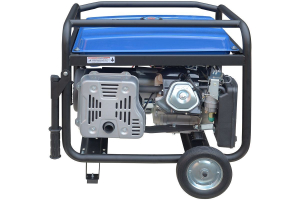 Бензиновый генератор ТСС SGG 8000EHNA в кожухе МК-1.1 034039 переносной фото