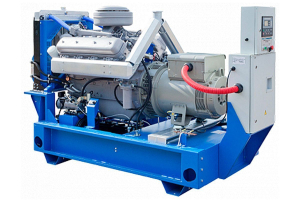 Дизельный генератор ТСС АД-60С-Т400-2РМ2 Marelli 029361 фото