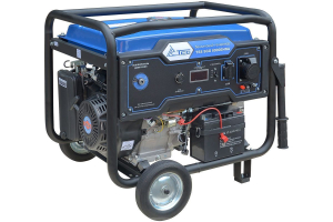 Бензиновый генератор ТСС SGG 8000EHNA в кожухе МК-1.1 034039 переносной фото