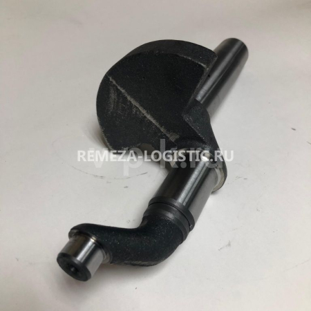 R 21131006 Коленвал LB50 для lb50