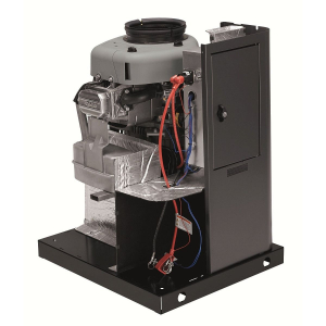 Газовый генератор Briggs & Stratton G80 (8 кВт) портативный Газовый генератор Briggs & Stratton G80 (8 кВт) портативный фото