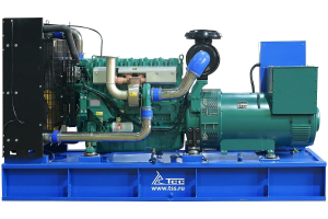 Дизельный генератор ТСС АД-300С-Т400-1РНМ5 ПРОФ 025902 Дизельный генератор ТСС АД-300С-Т400-1РНМ5 ПРОФ 025902 фото