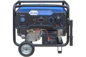 Бензиновый генератор ТСС SGG 8000EHNA в кожухе МК-1.1 034039 переносной фото