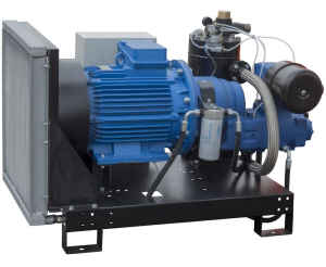 Винтовой компрессор Арсенал ЗИФ-СВЭ-16,0/0,7 без кожуха Винтовой компрессор Арсенал ЗИФ-СВЭ-16,0/0,7 без кожуха фото