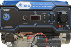 Бензиновый генератор ТСС SGG 8000EHNA в кожухе МК-1.1 034039 переносной фото